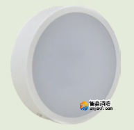 海灣HW-ZFJC-E6W-VN651C消防應(yīng)急照明燈