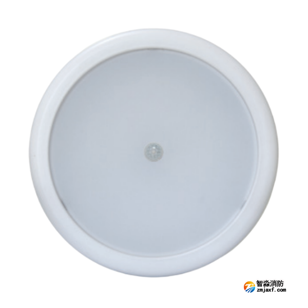 海灣HW-ZFJC-E15W-N654HW集中電源集中控制型消防應急照明燈具