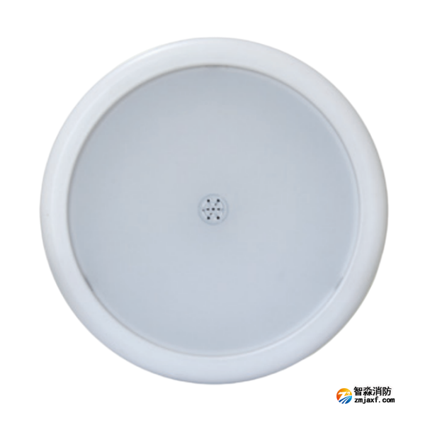 海灣HW-ZFJC-E12W-N653SG集中電源集中控制型消防應(yīng)急照明燈具